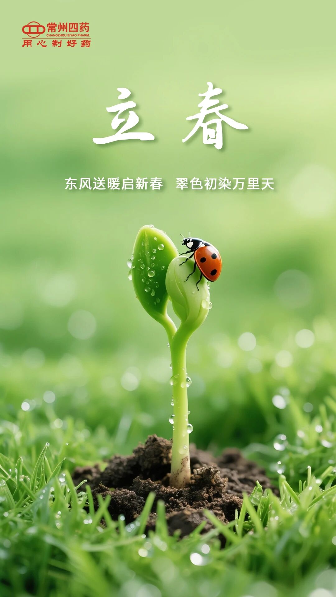 今日立春 | 万象更新，，，，如约而至