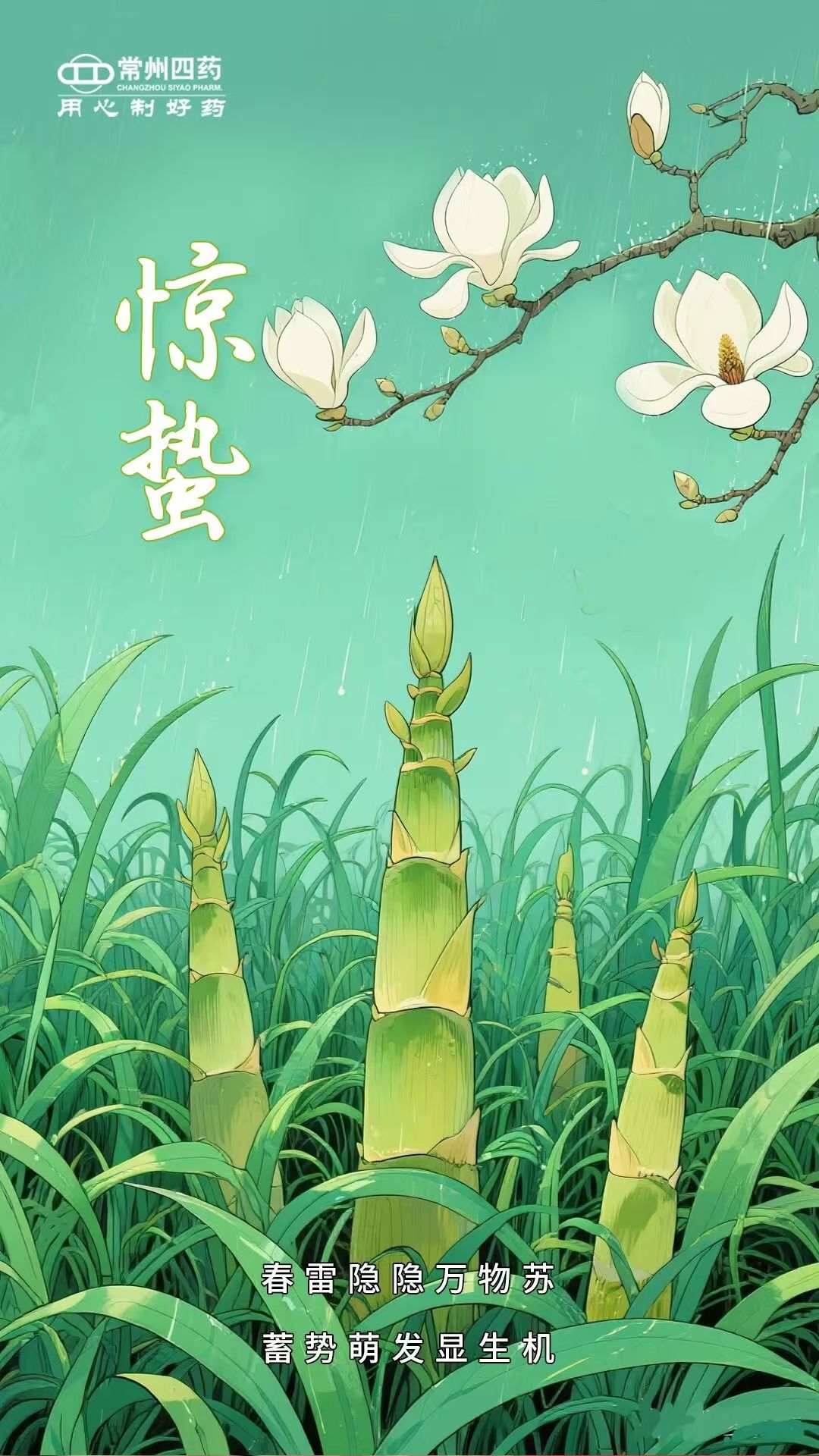 2026.03.05 惊蛰(1).jpg